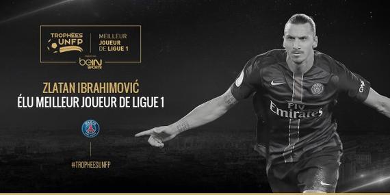 也表现出对 也表现出对