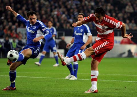 奥斯曼这种 奥斯曼这种