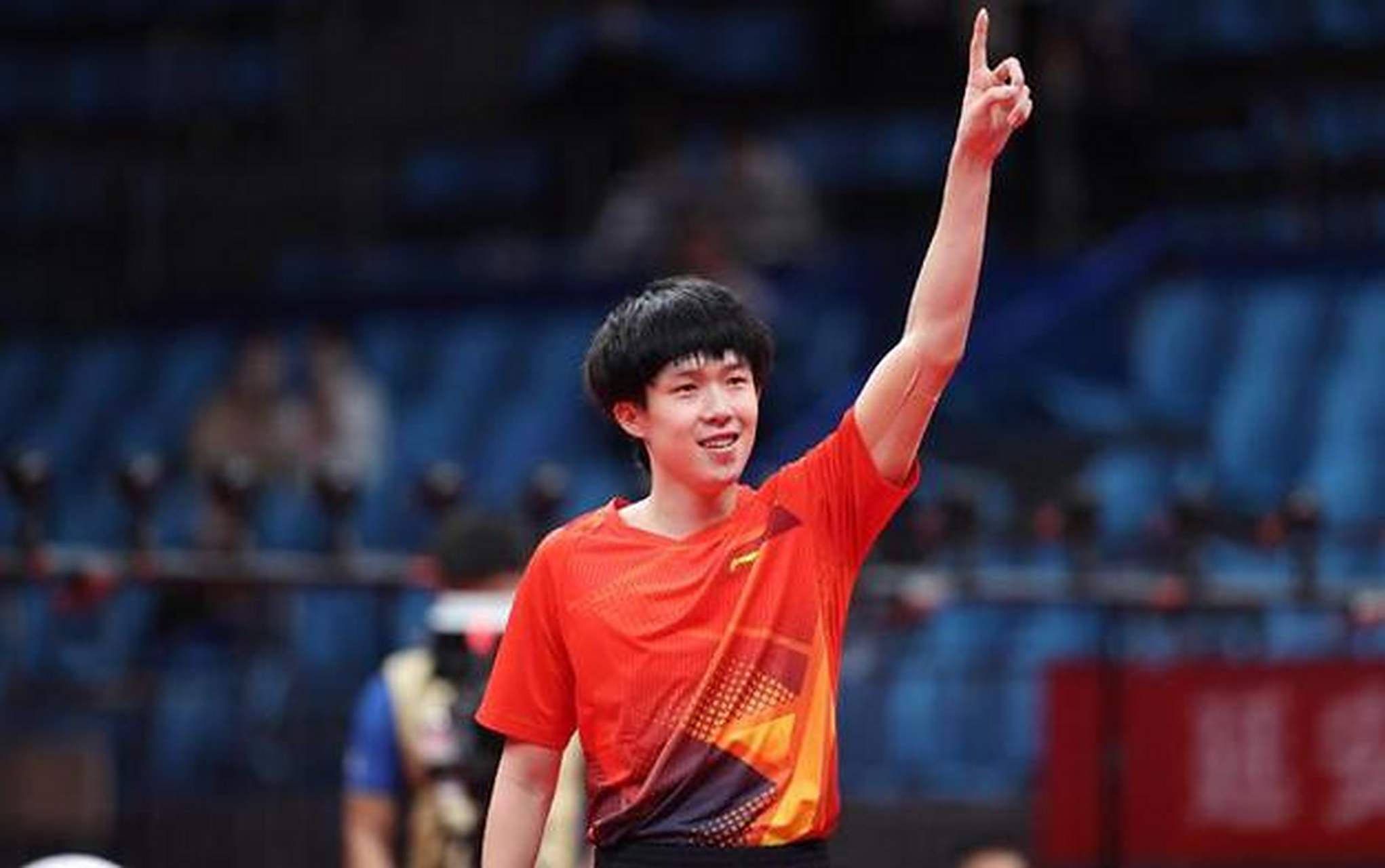 象与观赏性 象与观赏性